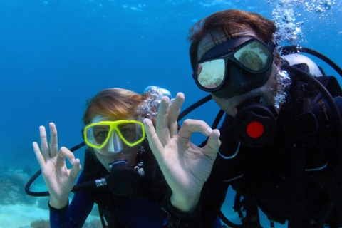 Master Diving Daily Trips