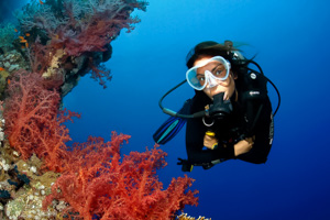 Master Diving Courses